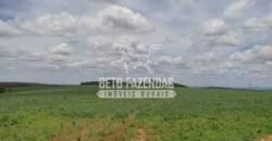Oportunidade Única. Fazenda Café, Cereais e Pecuária 1.060 hectares Infraestrutura Completa | Região de Araxá/ MG