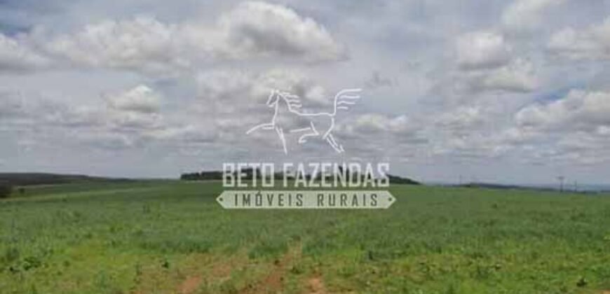 Oportunidade Única. Fazenda Café, Cereais e Pecuária 1.060 hectares Infraestrutura Completa | Região de Araxá/ MG