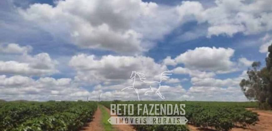 Oportunidade Única. Fazenda Café, Cereais e Pecuária 1.060 hectares Infraestrutura Completa | Região de Araxá/ MG