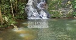 Oportunidade Única. Fazenda Café, Cereais e Pecuária 1.060 hectares Infraestrutura Completa | Região de Araxá/ MG