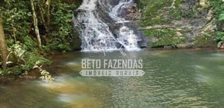 Oportunidade Única. Fazenda Café, Cereais e Pecuária 1.060 hectares Infraestrutura Completa | Região de Araxá/ MG