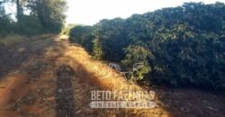 Oportunidade Única. Fazenda Café, Cereais e Pecuária 1.060 hectares Infraestrutura Completa | Região de Araxá/ MG