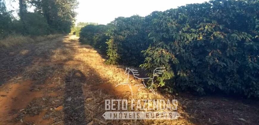 Oportunidade Única. Fazenda Café, Cereais e Pecuária 1.060 hectares Infraestrutura Completa | Região de Araxá/ MG