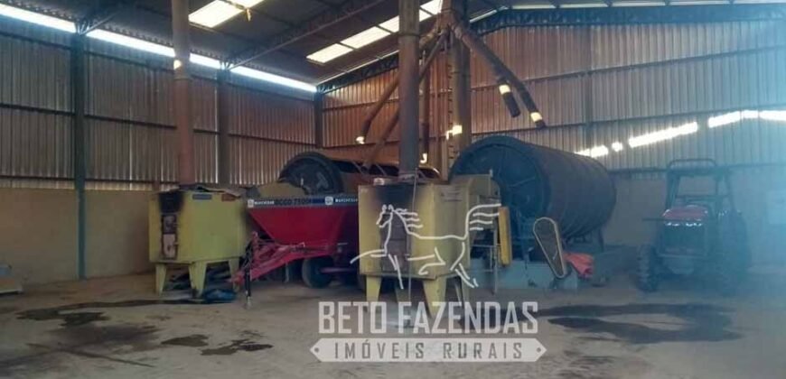 Oportunidade Única. Fazenda Café, Cereais e Pecuária 1.060 hectares Infraestrutura Completa | Região de Araxá/ MG