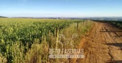 Oportunidade Única. Fazenda Café, Cereais e Pecuária 1.060 hectares Infraestrutura Completa | Região de Araxá/ MG
