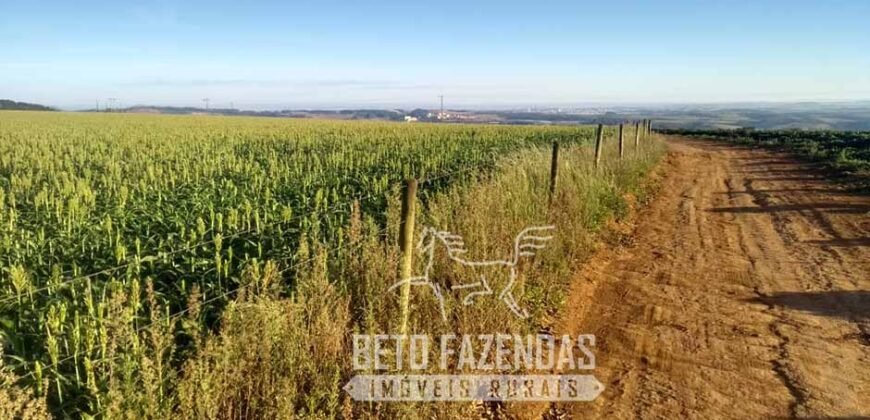 Oportunidade Única. Fazenda Café, Cereais e Pecuária 1.060 hectares Infraestrutura Completa | Região de Araxá/ MG