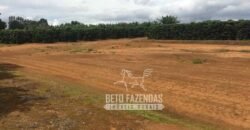 Oportunidade Única. Fazenda Café, Cereais e Pecuária 1.060 hectares Infraestrutura Completa | Região de Araxá/ MG