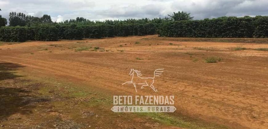 Oportunidade Única. Fazenda Café, Cereais e Pecuária 1.060 hectares Infraestrutura Completa | Região de Araxá/ MG