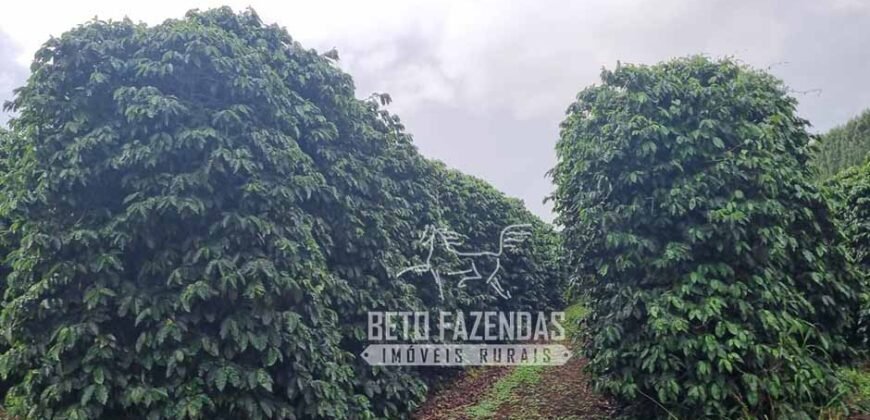 Oportunidade Única. Fazenda Café, Cereais e Pecuária 1.060 hectares Infraestrutura Completa | Região de Araxá/ MG