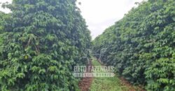 Oportunidade Única. Fazenda Café, Cereais e Pecuária 1.060 hectares Infraestrutura Completa | Região de Araxá/ MG