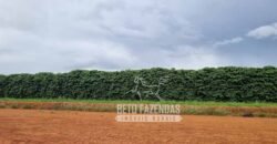 Oportunidade Única. Fazenda Café, Cereais e Pecuária 1.060 hectares Infraestrutura Completa | Região de Araxá/ MG