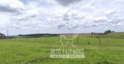 Oportunidade Única. Fazenda Café, Cereais e Pecuária 1.060 hectares Infraestrutura Completa | Região de Araxá/ MG