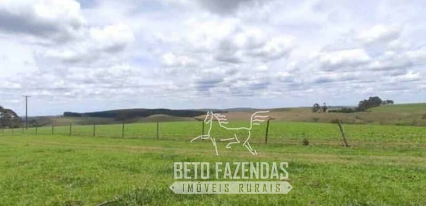 Oportunidade Única. Fazenda Café, Cereais e Pecuária 1.060 hectares Infraestrutura Completa | Região de Araxá/ MG