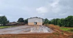 Oportunidade Única. Fazenda Café, Cereais e Pecuária 1.060 hectares Infraestrutura Completa | Região de Araxá/ MG