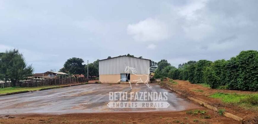 Oportunidade Única. Fazenda Café, Cereais e Pecuária 1.060 hectares Infraestrutura Completa | Região de Araxá/ MG