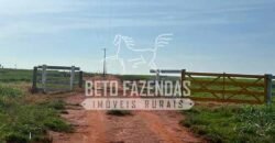 Oportunidade: Fazenda à Venda 250 alqueires para Pecuária | Presidente Eptácio/ SP