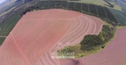 Oportunidade! Fazenda de Café com Difersidade Agrícola e Pecuária 5050 hectares | Região de Araxá/ MG Oportunidade! Fazenda de Café com Difersidade Agrícola e Pecuária 5050 hectares | Região de Araxá/ MG