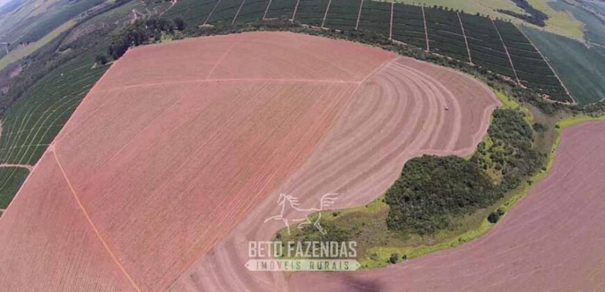 Oportunidade! Fazenda de Café com Difersidade Agrícola e Pecuária 5050 hectares | Região de Araxá/ MG Oportunidade! Fazenda de Café com Difersidade Agrícola e Pecuária 5050 hectares | Região de Araxá/ MG