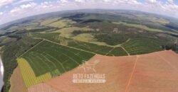Oportunidade! Fazenda de Café com Difersidade Agrícola e Pecuária 5050 hectares | Região de Araxá/ MG Oportunidade! Fazenda de Café com Difersidade Agrícola e Pecuária 5050 hectares | Região de Araxá/ MG