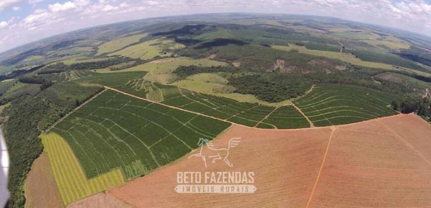 Oportunidade! Fazenda de Café com Difersidade Agrícola e Pecuária 5050 hectares | Região de Araxá/ MG Oportunidade! Fazenda de Café com Difersidade Agrícola e Pecuária 5050 hectares | Região de Araxá/ MG