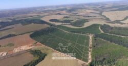Oportunidade! Fazenda de Café com Difersidade Agrícola e Pecuária 5050 hectares | Região de Araxá/ MG Oportunidade! Fazenda de Café com Difersidade Agrícola e Pecuária 5050 hectares | Região de Araxá/ MG