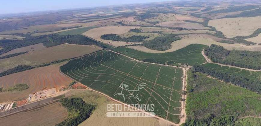 Oportunidade! Fazenda de Café com Difersidade Agrícola e Pecuária 5050 hectares | Região de Araxá/ MG Oportunidade! Fazenda de Café com Difersidade Agrícola e Pecuária 5050 hectares | Região de Araxá/ MG