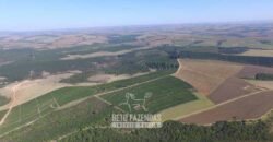 Oportunidade! Fazenda de Café com Difersidade Agrícola e Pecuária 5050 hectares | Região de Araxá/ MG Oportunidade! Fazenda de Café com Difersidade Agrícola e Pecuária 5050 hectares | Região de Araxá/ MG