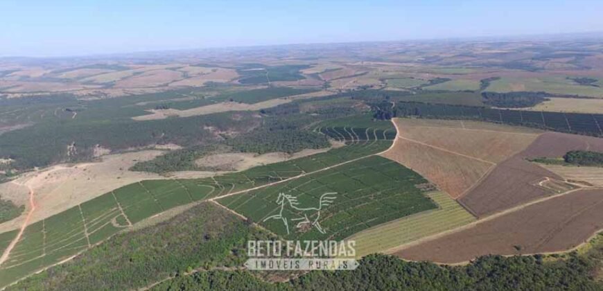 Oportunidade! Fazenda de Café com Difersidade Agrícola e Pecuária 5050 hectares | Região de Araxá/ MG Oportunidade! Fazenda de Café com Difersidade Agrícola e Pecuária 5050 hectares | Região de Araxá/ MG