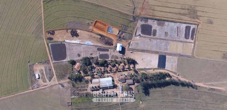 Oportunidade! Fazenda de Café com Difersidade Agrícola e Pecuária 5050 hectares | Região de Araxá/ MG Oportunidade! Fazenda de Café com Difersidade Agrícola e Pecuária 5050 hectares | Região de Araxá/ MG