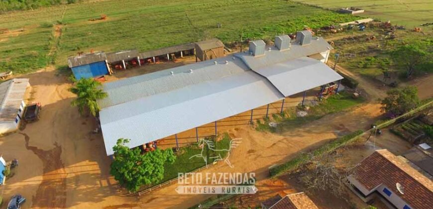 Oportunidade! Fazenda de Café com Difersidade Agrícola e Pecuária 5050 hectares | Região de Araxá/ MG Oportunidade! Fazenda de Café com Difersidade Agrícola e Pecuária 5050 hectares | Região de Araxá/ MG