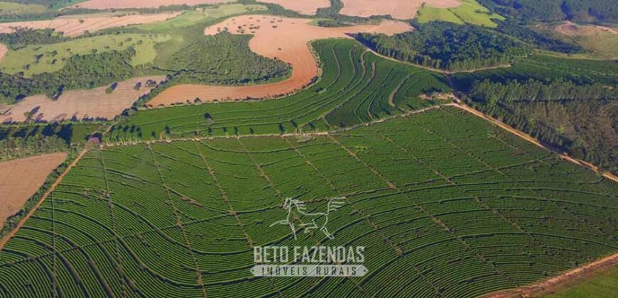 Oportunidade! Fazenda de Café com Difersidade Agrícola e Pecuária 5050 hectares | Região de Araxá/ MG Oportunidade! Fazenda de Café com Difersidade Agrícola e Pecuária 5050 hectares | Região de Araxá/ MG