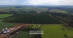 Oportunidade! Fazenda de Café com Difersidade Agrícola e Pecuária 5050 hectares | Região de Araxá/ MG Oportunidade! Fazenda de Café com Difersidade Agrícola e Pecuária 5050 hectares | Região de Araxá/ MG