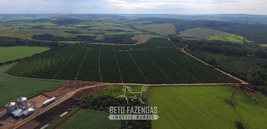 Oportunidade! Fazenda de Café com Difersidade Agrícola e Pecuária 5050 hectares | Região de Araxá/ MG Oportunidade! Fazenda de Café com Difersidade Agrícola e Pecuária 5050 hectares | Região de Araxá/ MG