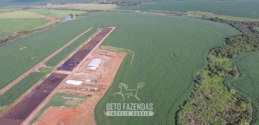 Oportunidade! Fazenda de Café com Difersidade Agrícola e Pecuária 5050 hectares | Região de Araxá/ MG Oportunidade! Fazenda de Café com Difersidade Agrícola e Pecuária 5050 hectares | Região de Araxá/ MG