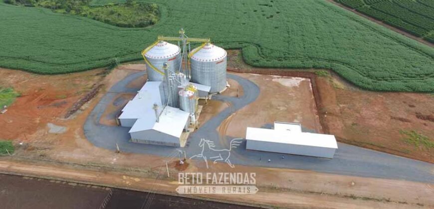 Oportunidade! Fazenda de Café com Difersidade Agrícola e Pecuária 5050 hectares | Região de Araxá/ MG Oportunidade! Fazenda de Café com Difersidade Agrícola e Pecuária 5050 hectares | Região de Araxá/ MG