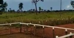 Fazenda à Venda Dupla Aptidão 2.400 alq Lavoura de Arroz e Pecuária Pista de Pouso | Flores de Goiás/ GO Fazenda à Venda Dupla Aptidão 2.400 alq Lavoura de Arroz e Pecuária Pista de Pouso | Flores de Goiás/ GO