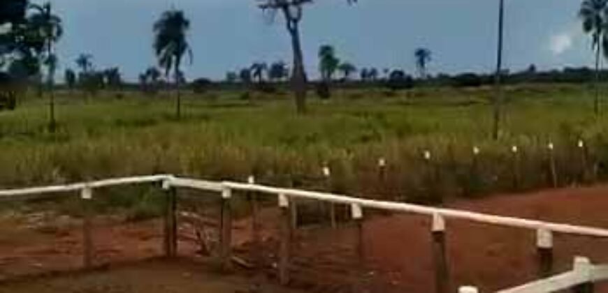 Fazenda à Venda Dupla Aptidão 2.400 alq Lavoura de Arroz e Pecuária Pista de Pouso | Flores de Goiás/ GO Fazenda à Venda Dupla Aptidão 2.400 alq Lavoura de Arroz e Pecuária Pista de Pouso | Flores de Goiás/ GO