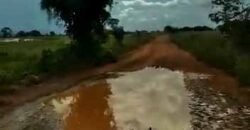 Fazenda à Venda Dupla Aptidão 2.400 alq Lavoura de Arroz e Pecuária Pista de Pouso | Flores de Goiás/ GO Fazenda à Venda Dupla Aptidão 2.400 alq Lavoura de Arroz e Pecuária Pista de Pouso | Flores de Goiás/ GO