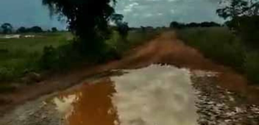 Fazenda à Venda Dupla Aptidão 2.400 alq Lavoura de Arroz e Pecuária Pista de Pouso | Flores de Goiás/ GO Fazenda à Venda Dupla Aptidão 2.400 alq Lavoura de Arroz e Pecuária Pista de Pouso | Flores de Goiás/ GO