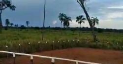 Fazenda à Venda Dupla Aptidão 2.400 alq Lavoura de Arroz e Pecuária Pista de Pouso | Flores de Goiás/ GO Fazenda à Venda Dupla Aptidão 2.400 alq Lavoura de Arroz e Pecuária Pista de Pouso | Flores de Goiás/ GO