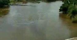 Fazenda à Venda Dupla Aptidão 2.400 alq Lavoura de Arroz e Pecuária Pista de Pouso | Flores de Goiás/ GO Fazenda à Venda Dupla Aptidão 2.400 alq Lavoura de Arroz e Pecuária Pista de Pouso | Flores de Goiás/ GO