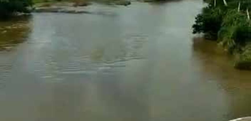 Fazenda à Venda Dupla Aptidão 2.400 alq Lavoura de Arroz e Pecuária Pista de Pouso | Flores de Goiás/ GO Fazenda à Venda Dupla Aptidão 2.400 alq Lavoura de Arroz e Pecuária Pista de Pouso | Flores de Goiás/ GO