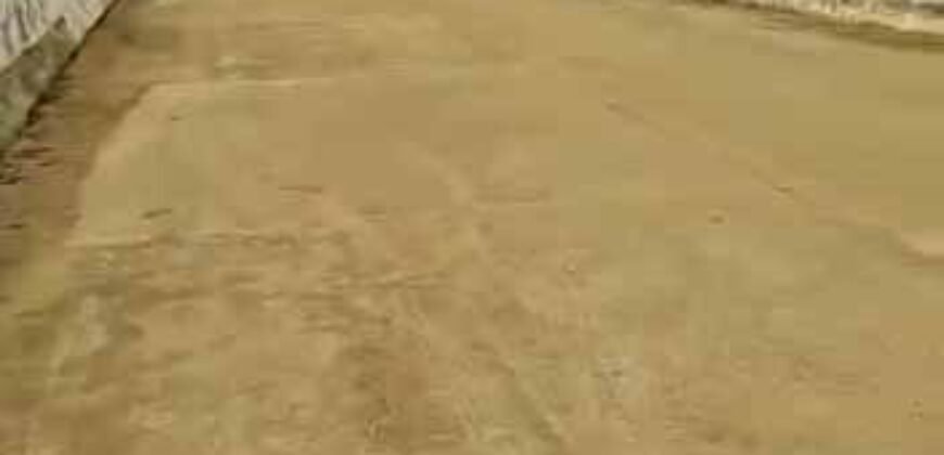 Fazenda à Venda Dupla Aptidão 2.400 alq Lavoura de Arroz e Pecuária Pista de Pouso | Flores de Goiás/ GO Fazenda à Venda Dupla Aptidão 2.400 alq Lavoura de Arroz e Pecuária Pista de Pouso | Flores de Goiás/ GO