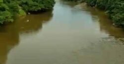 Fazenda à Venda Dupla Aptidão 2.400 alq Lavoura de Arroz e Pecuária Pista de Pouso | Flores de Goiás/ GO Fazenda à Venda Dupla Aptidão 2.400 alq Lavoura de Arroz e Pecuária Pista de Pouso | Flores de Goiás/ GO