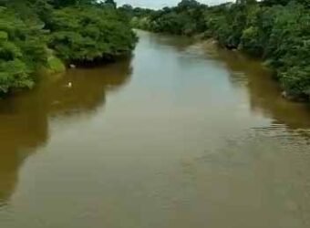 Fazenda à Venda Dupla Aptidão 2.400 alq Lavoura de Arroz e Pecuária Pista de Pouso | Flores de Goiás/ GO