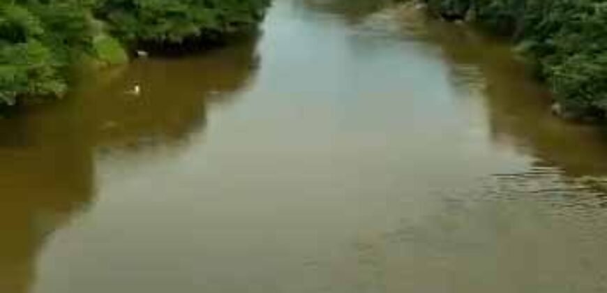 Fazenda à Venda Dupla Aptidão 2.400 alq Lavoura de Arroz e Pecuária Pista de Pouso | Flores de Goiás/ GO Fazenda à Venda Dupla Aptidão 2.400 alq Lavoura de Arroz e Pecuária Pista de Pouso | Flores de Goiás/ GO