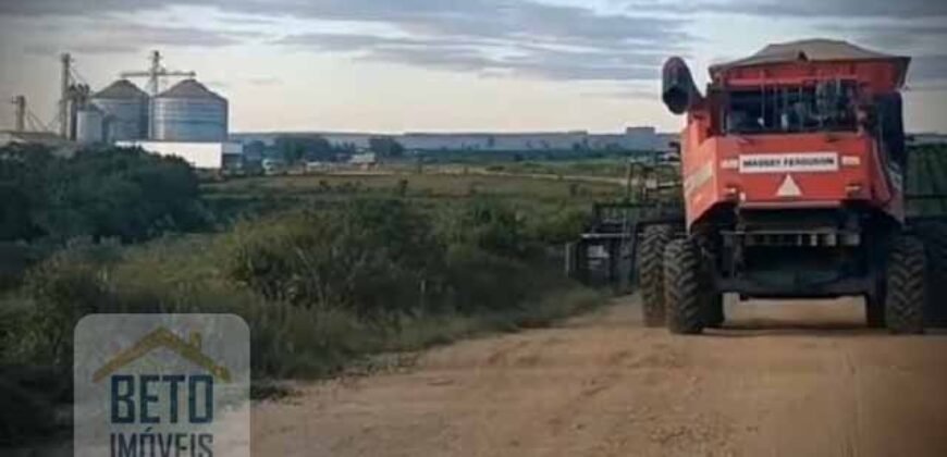 Oportunidade! Fazenda de Café com Difersidade Agrícola e Pecuária 5050 hectares | Região de Araxá/ MG Oportunidade! Fazenda de Café com Difersidade Agrícola e Pecuária 5050 hectares | Região de Araxá/ MG