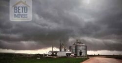 Oportunidade! Fazenda de Café com Difersidade Agrícola e Pecuária 5050 hectares | Região de Araxá/ MG Oportunidade! Fazenda de Café com Difersidade Agrícola e Pecuária 5050 hectares | Região de Araxá/ MG