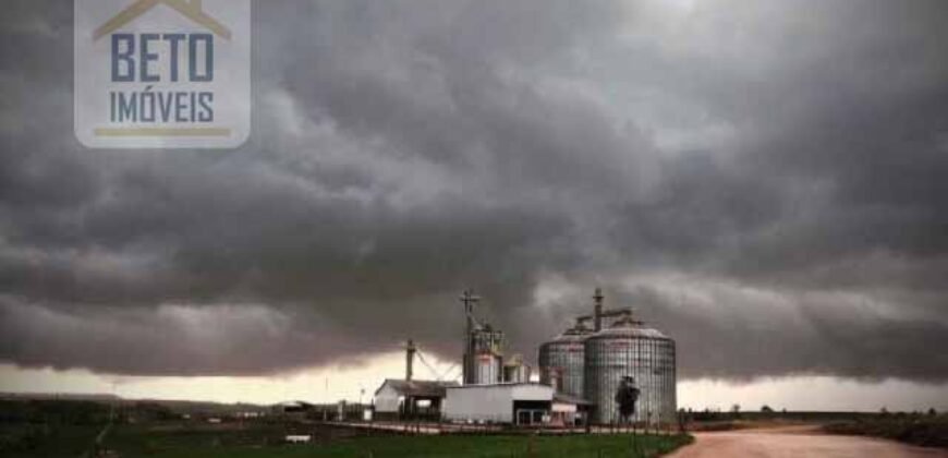 Oportunidade! Fazenda de Café com Difersidade Agrícola e Pecuária 5050 hectares | Região de Araxá/ MG Oportunidade! Fazenda de Café com Difersidade Agrícola e Pecuária 5050 hectares | Região de Araxá/ MG