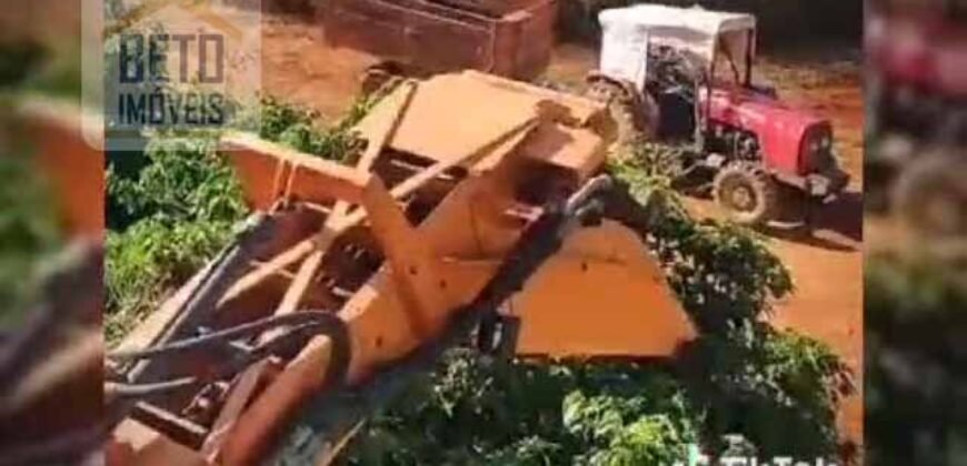 Oportunidade! Fazenda de Café com Difersidade Agrícola e Pecuária 5050 hectares | Região de Araxá/ MG Oportunidade! Fazenda de Café com Difersidade Agrícola e Pecuária 5050 hectares | Região de Araxá/ MG